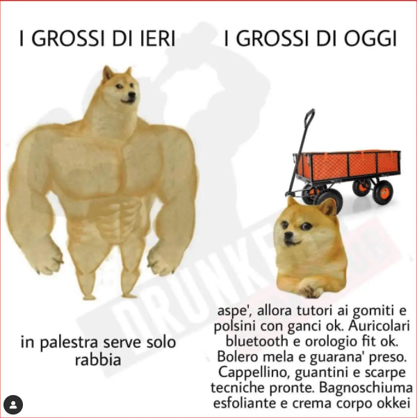 cosa serve in palestra meme