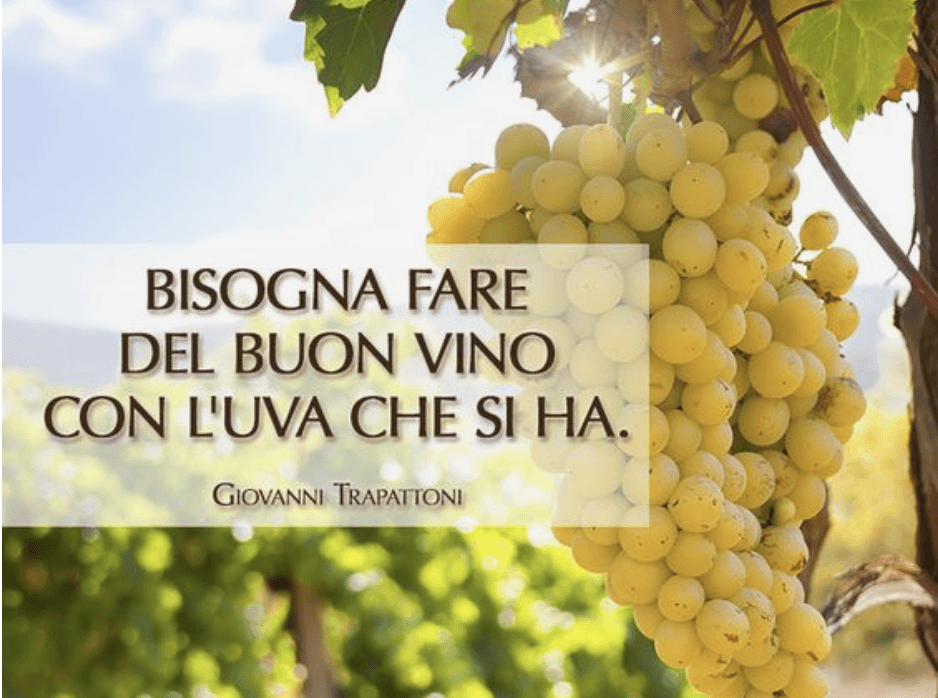 bisogna fare del buon vino con l'uva che si ha