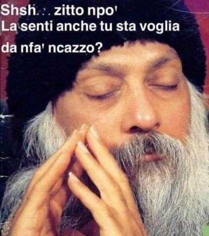 la voglia di non fare nulla di Osho