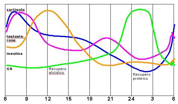 andamento giornaliero degli ormoni